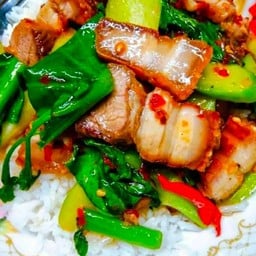 ข้าวราดคะน้าหมูกรอบ