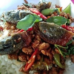 กะเพราไข่เยี่ยวม้าราดข้าว