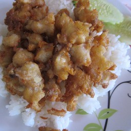 ข้าวเอ็นไก่ทอด