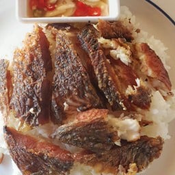 กินปลาอ่างทอง