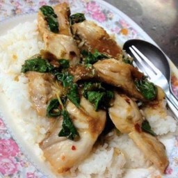 กระเพราปลาราดข้าว