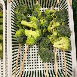 หม่าล่าอร่อยเด็ดเผ็ดสะท้านโลกันต์ มมส