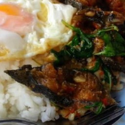 กระเพราปลาดุกไข่ดาว