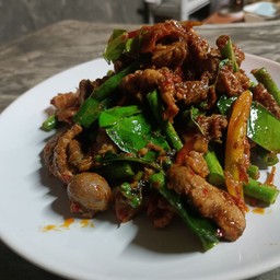 ร้านคะมำคลับ ตามสั่ง