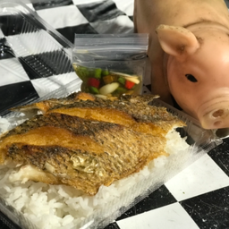 ข้าวหน้าปลาแกะ+ไข่ต้ม(ราดพริกน้ำปลา)