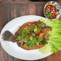 ปลากะพงลุยสวน