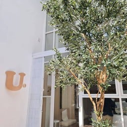 ร้านแต่งน่ารัก แบบสไตล์มูจิ แสงเข้าร้านถ่ายรูปสวยมากกกก