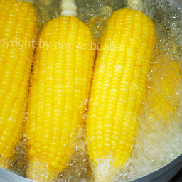 ข้าวโพดหวาน
