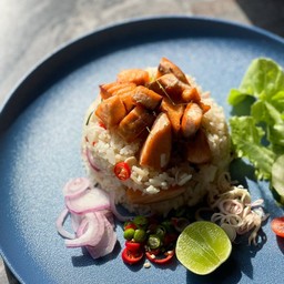 ข้าวแมวแซลม่อน