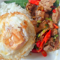 ผัดขิงหมูป่า