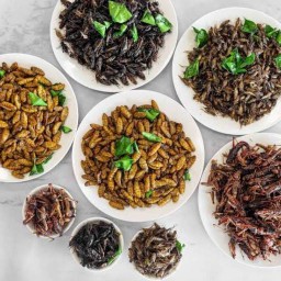 กะเพราจุกๆ งามวงศ์วาน25แยก31