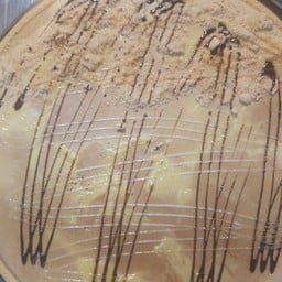 สถานีเครป