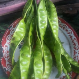 สะตอสด1ฟักออน
