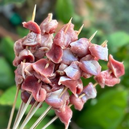 กึ๋นไก่