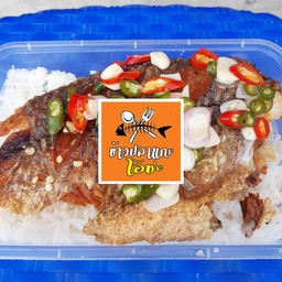 ข้าวปลาแกะ (ปลานิล) เพิ่มปลาเน้นๆ