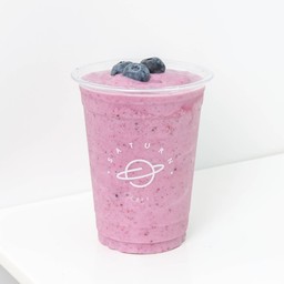 Blueberry Yogurt Smoothie