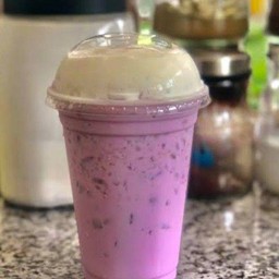 เผือกนมสด