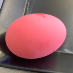 ไข่เยี่ยวม้า