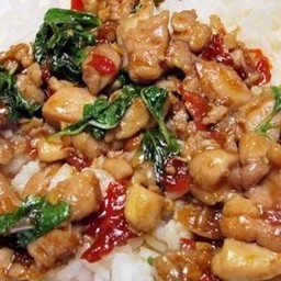 ข้าวกะเพราไก่