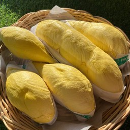 เลอมุนหมอนทอง ทุเรียนเกรดพรีเมี่ยม สาขาเซิดน้อย