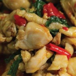 กะเพราไก่ชิ้นราดข้าว