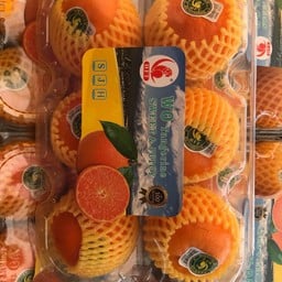 ผลไม้พรีเมี่ยมนานาชาติ Evergreen premium fruit