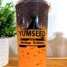 ชาโก้เย็น