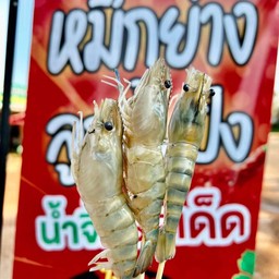หมึกย่างรสเด็ด