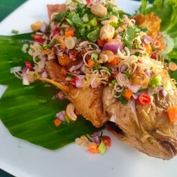 บ้านนามหานคร on the field