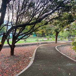 ข้าวผัดปูซอสสยาม3 ข้าวผัดปู หน้าซอยมหาดไทย