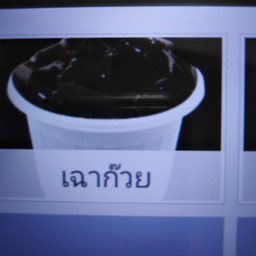 เฉาก๊วย