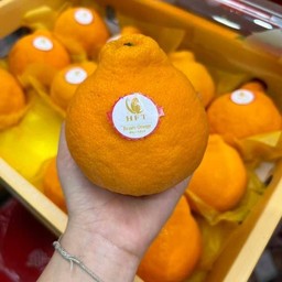 ส้มเดโกปอง แบรนด์นกแก้ว HFT