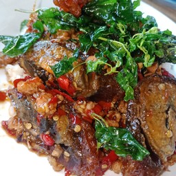 กะเพราไข่เยี้ยวม้าราดข้าว