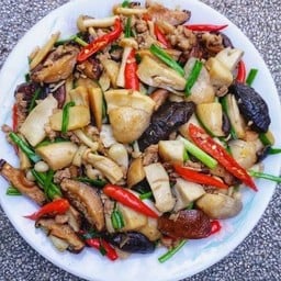 เห็ดรวมผัดน้ำมันหอย