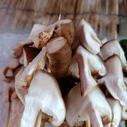 เฉินปลาเผาไม่อร่อยต่อยปาก หนองค้อ
