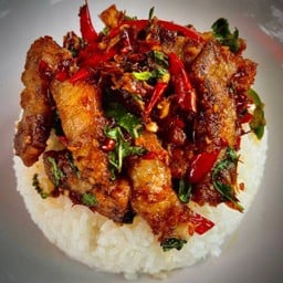 ข้าวกะเพราหมูกรอบ