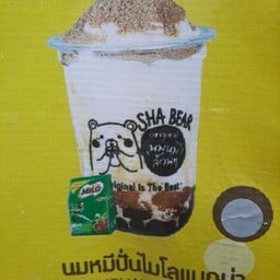 นมหมีล้วนๆสาขาชัยพฤกษ์พัทยาใต้ สาขาชัยพฤกษ์พทัยาใต้