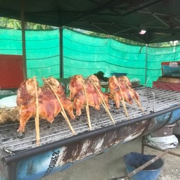 ไก่ย่างวิเชียรบุรี@วัดเขาสนามชัย
