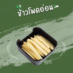 ข้าวโพดอ่อน