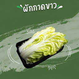 ผักกาดขาว