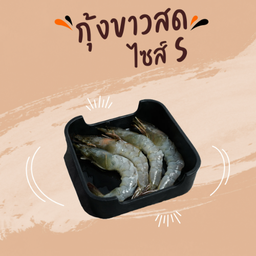 กุ้งขาวสด (S)