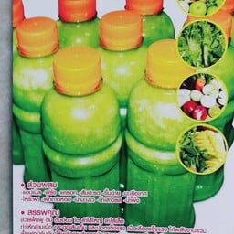For Health ประชาสงเคราะห์ซอย38