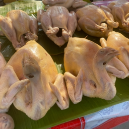 ไก่ต้มไหว้เจ้า พร้อมชุดเครื่องใน ตับ กึ๋น