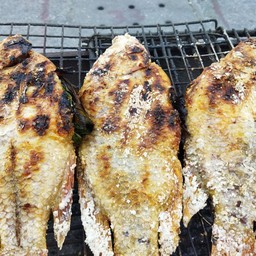 ปลาทับทิมเผาเกลือขนาดกลาง(ขายตั้งแต่ 16.00)