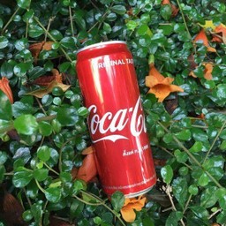 Coke can 325 ml.