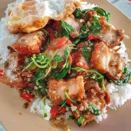 บ้านหมูกรอบ รัชดา