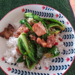 ศิริตามสั่ง -