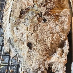 เมี่ยงปลานิลเผา