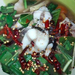 ต้มยำปลาช่อนนา