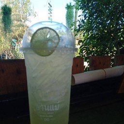 น้ำมะนาว (มะนาวสด)